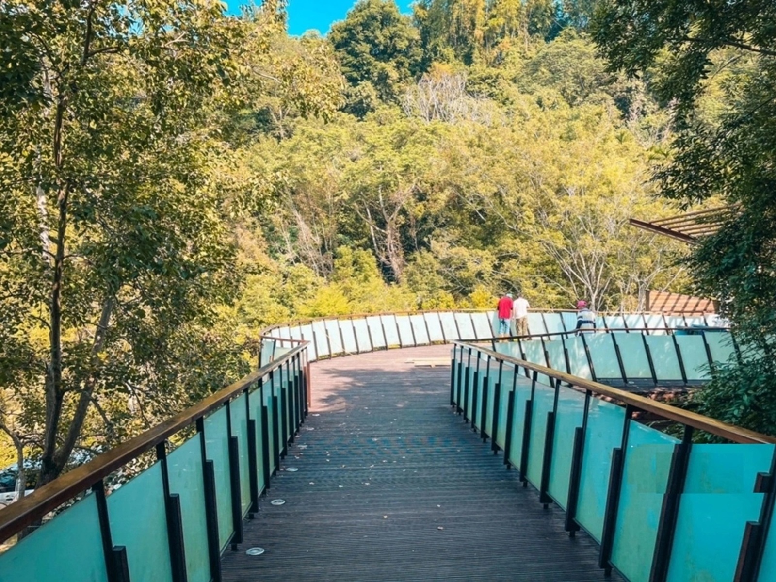 觸口自然教育中心