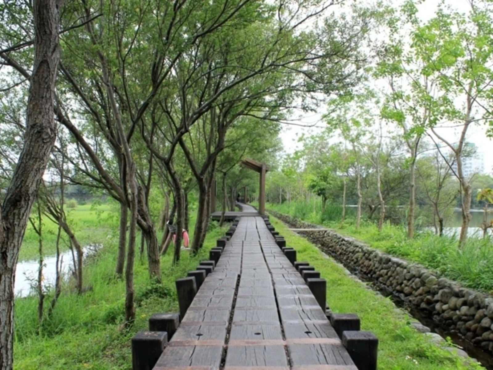 羅東林業文化園區 羅東林業文化園區