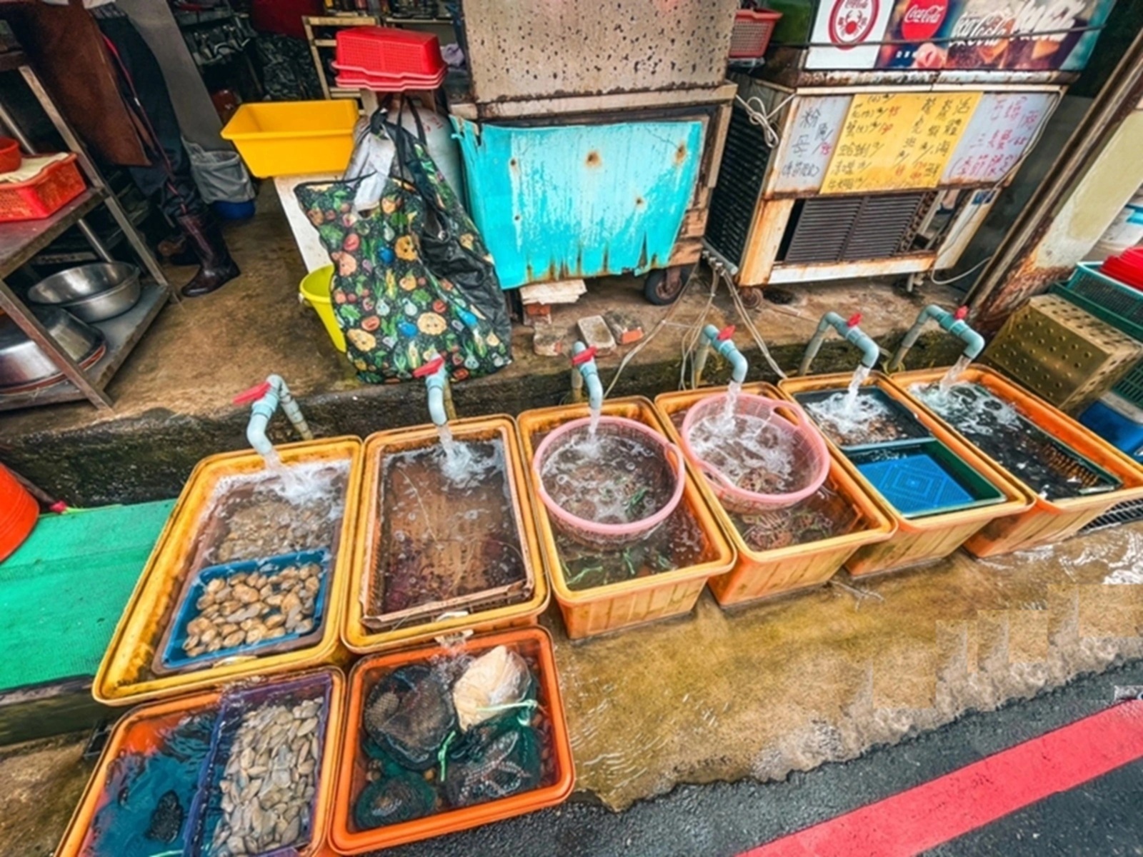 靖瑜平價海鮮 靖瑜平價海鮮