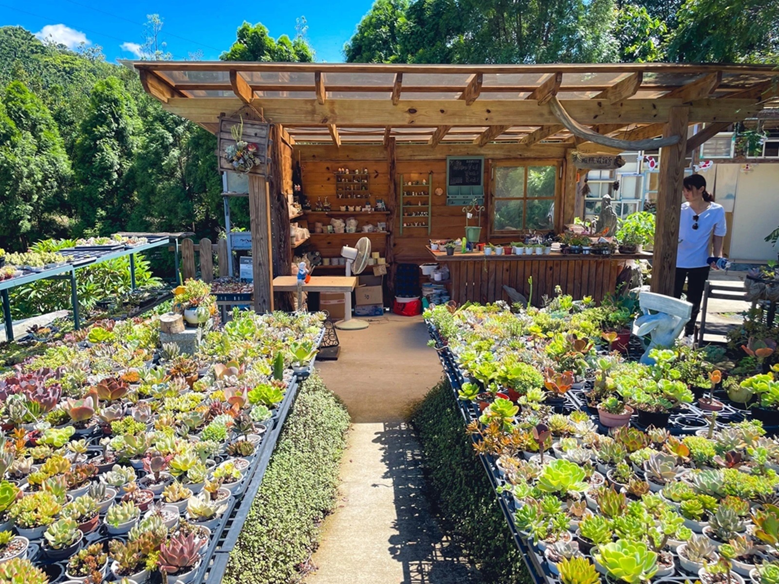 桃園三和青創基地