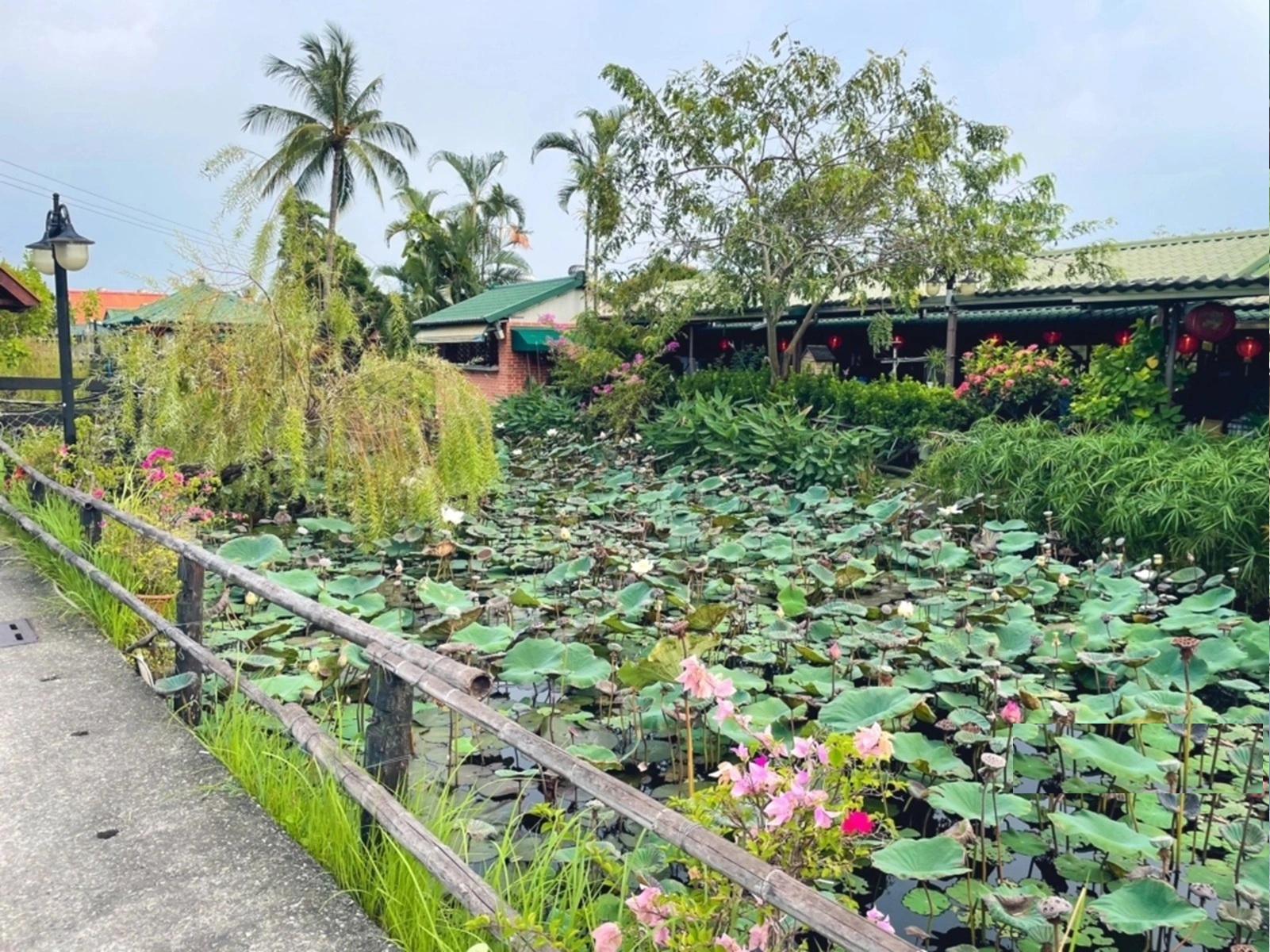 水月軒鮮蝦美食餐廳