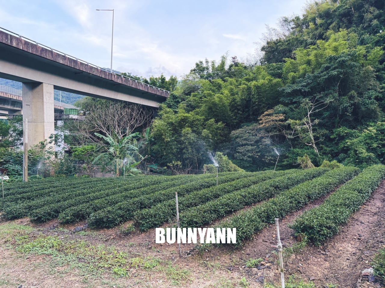 新北【北勢溪自行車道】橋下走一分鐘就到的在地人玩水去處，地點公開!!