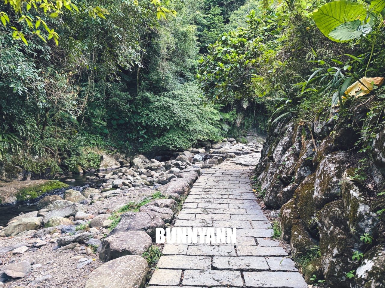 新北【北勢溪自行車道】橋下走一分鐘就到的在地人玩水去處，地點公開!!