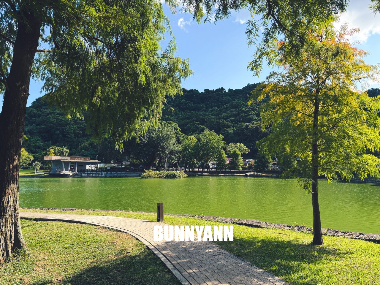台北【大湖公園】出捷運站走五分鐘就到的在地人欣賞湖景去處，最佳地點公開!!