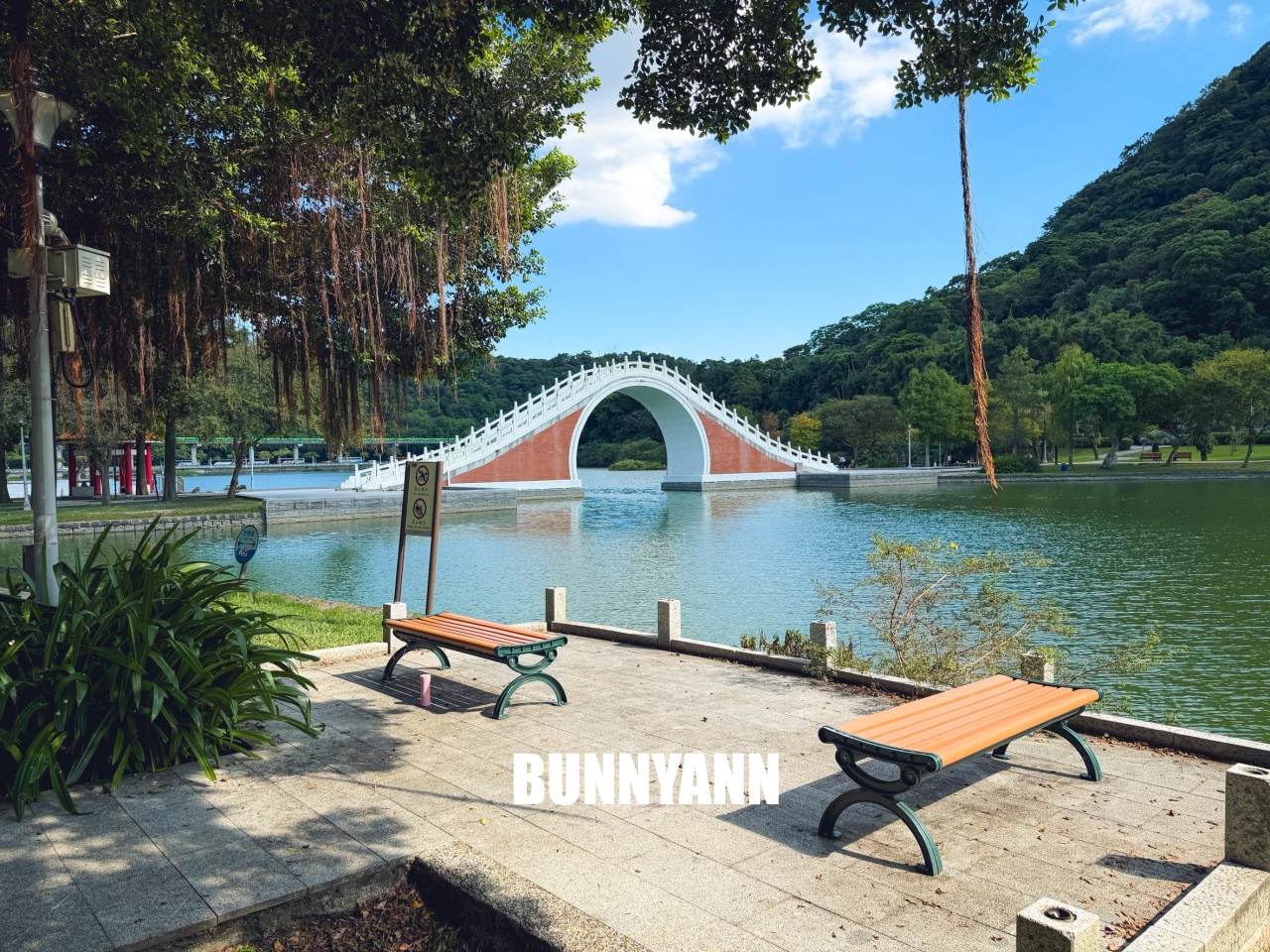 台北【大湖公園】出捷運站走五分鐘就到的在地人欣賞湖景去處，最佳地點公開!!