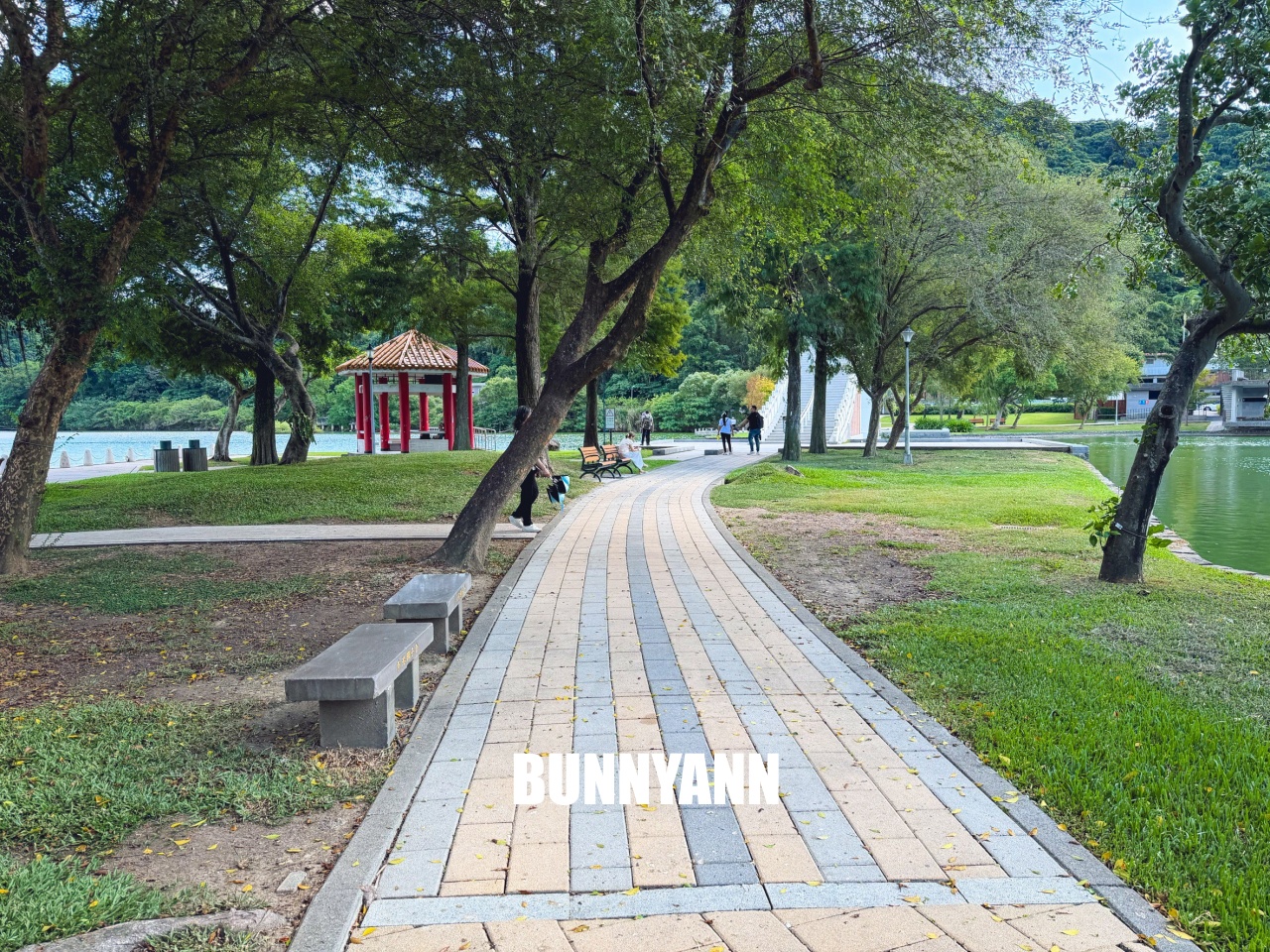 台北【大湖公園】出捷運站走五分鐘就到的在地人欣賞湖景去處，最佳地點公開!!