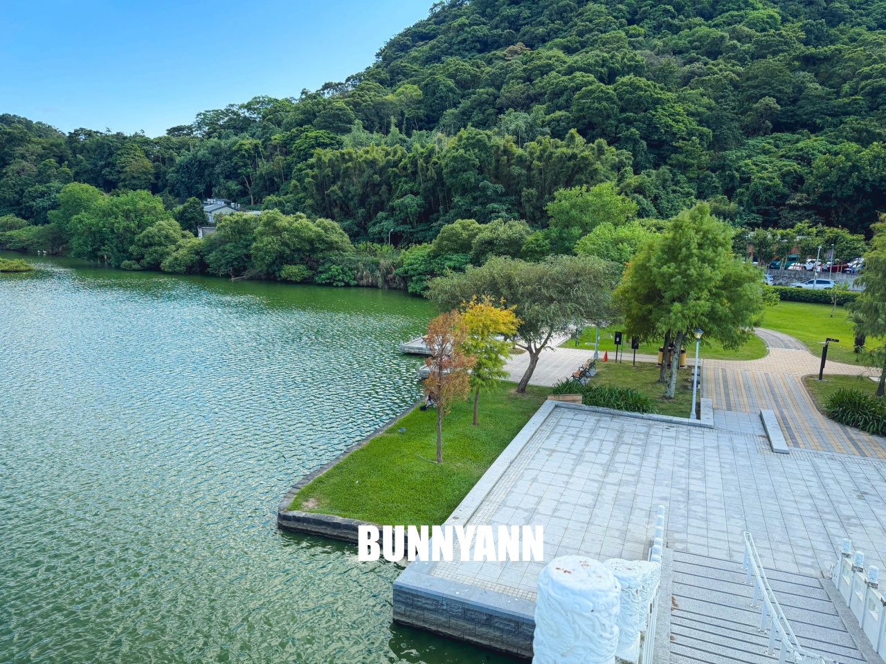 台北【大湖公園】出捷運站走五分鐘就到的在地人欣賞湖景去處，最佳地點公開!!