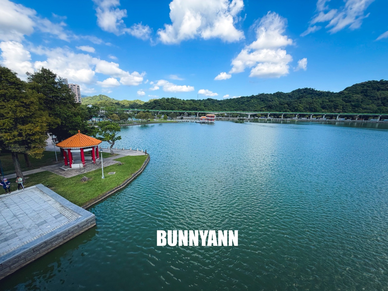 台北【大湖公園】出捷運站走五分鐘就到的在地人欣賞湖景去處，最佳地點公開!!