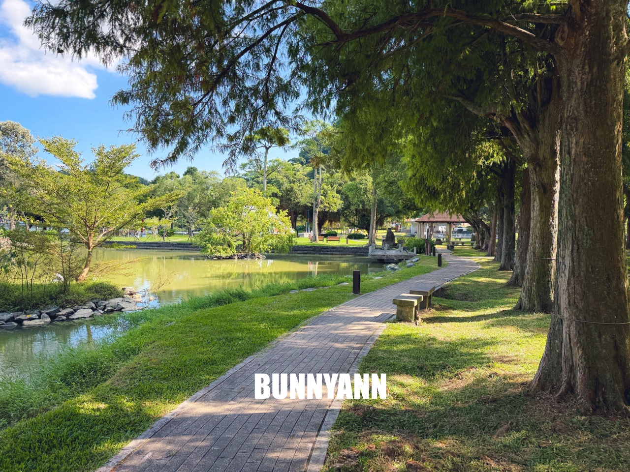 台北【大湖公園】出捷運站走五分鐘就到的在地人欣賞湖景去處，最佳地點公開!!