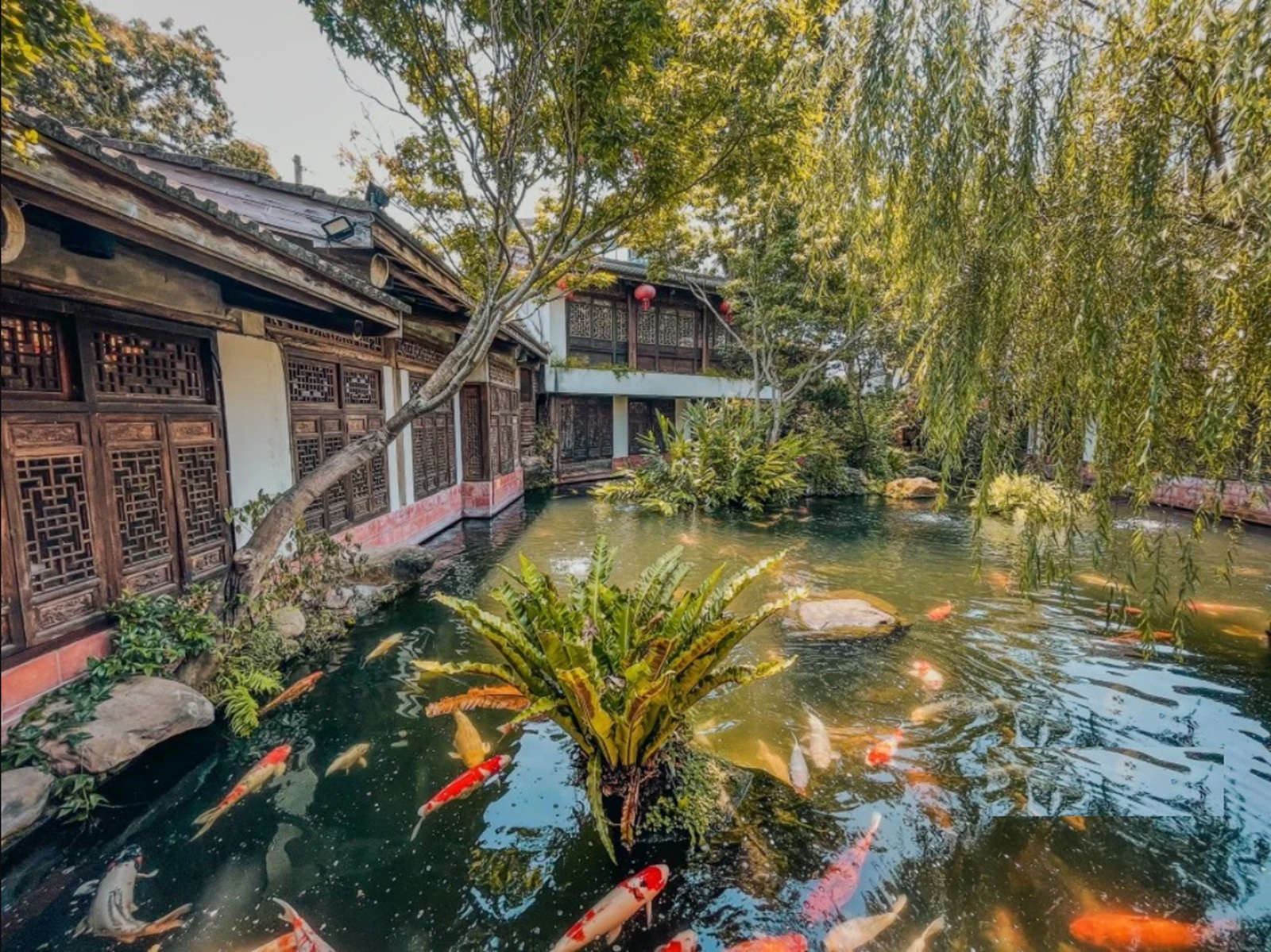 嘉義【竹居茶樓】小江南煙雨閣樓，豆花、小籠包和茶水每樣都好吃