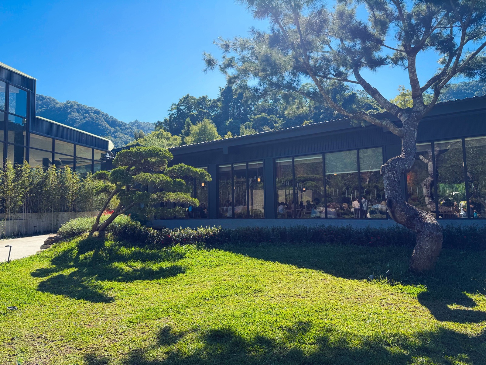 地點有夠偏僻，卻是兩千坪日式綠植栽園區，有森林與戲水池，綠意餐廳超美