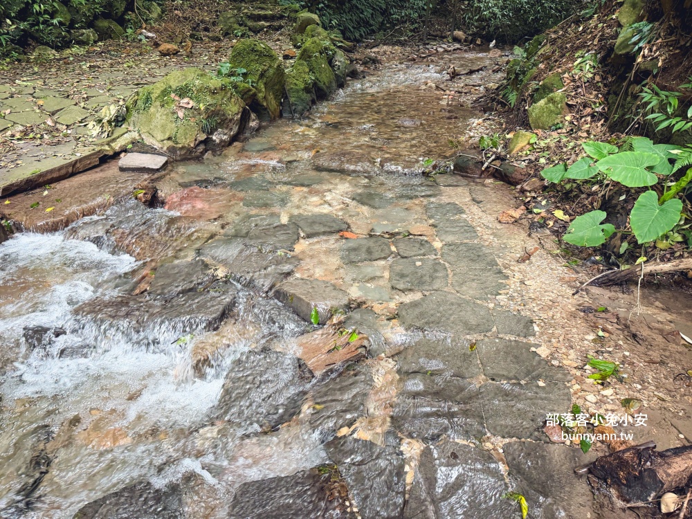陽明山【小隱潭瀑布】從入口處到牛奶色瀑布來回只要15分鐘輕鬆走 陽明山【小隱潭瀑布】從入口處到牛奶色瀑布來回只要15分鐘輕鬆走