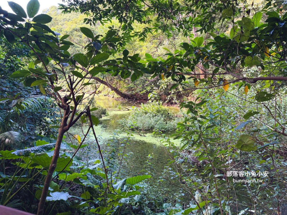 台北木柵公園生態園區，單程繞一圈不用半小時，沿途湖光山色真美