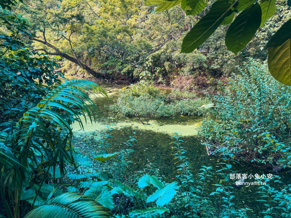 台北木柵公園生態園區，單程繞一圈不用半小時，沿途湖光山色真美