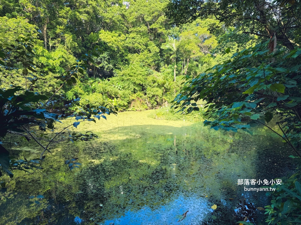 台北木柵公園生態園區，單程繞一圈不用半小時，沿途湖光山色真美