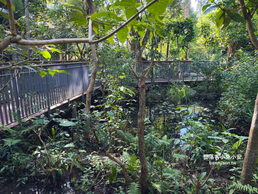 台北木柵公園生態園區，單程繞一圈不用半小時，沿途湖光山色真美
