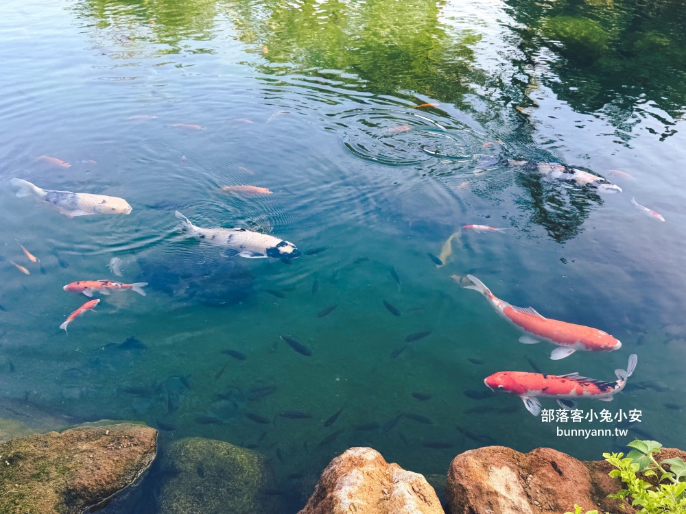 此木窯|萬里區山上的森林系咖啡廳,療癒又好拍極了!! 此木窯|萬里區山上的森林系咖啡廳,療癒又好拍極了!!