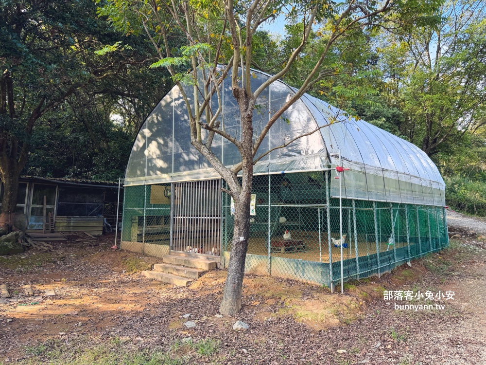 此木窯|萬里區山上的森林系咖啡廳,療癒又好拍極了!! 此木窯|萬里區山上的森林系咖啡廳,療癒又好拍極了!!