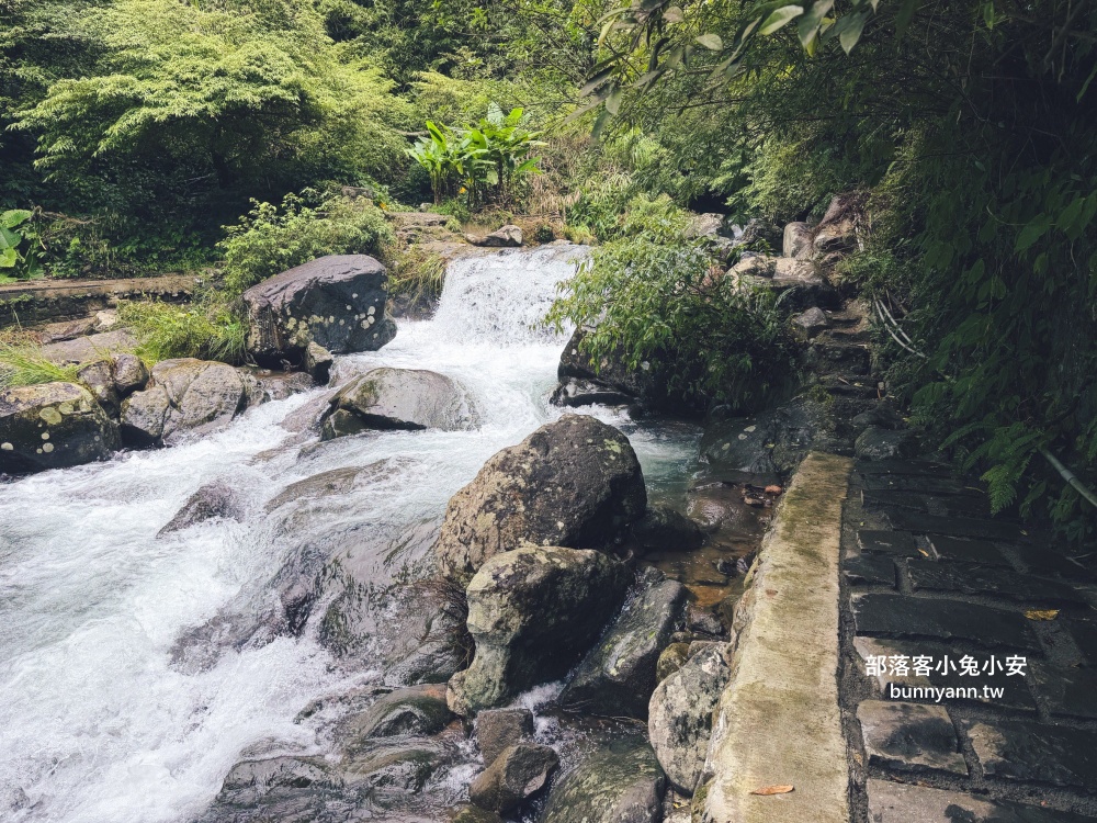 陽明山【草山觀瀑吊橋】從入口處到瀑布來回只要30分鐘輕鬆走