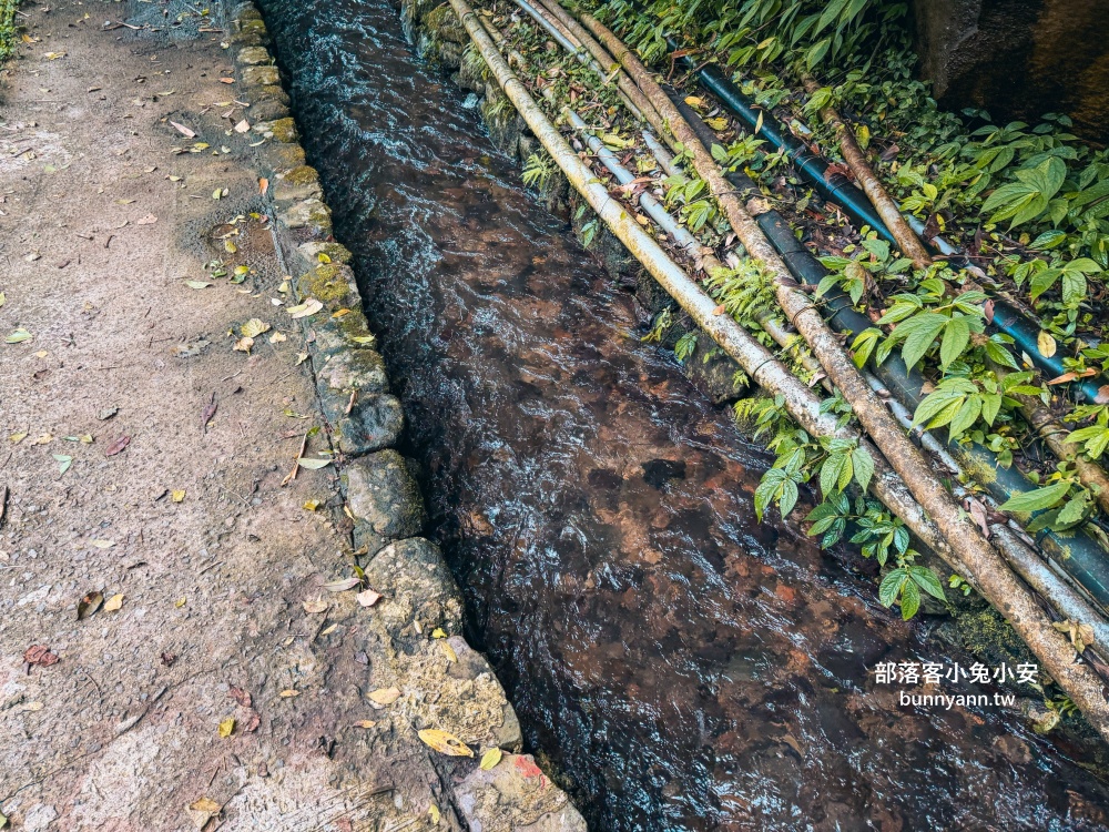 陽明山【草山觀瀑吊橋】從入口處到瀑布來回只要30分鐘輕鬆走