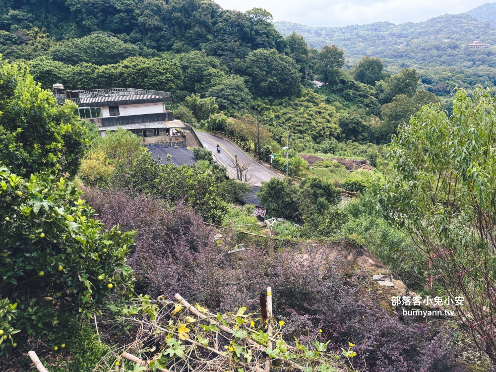 陽明山【草山觀瀑吊橋】從入口處到瀑布來回只要30分鐘輕鬆走