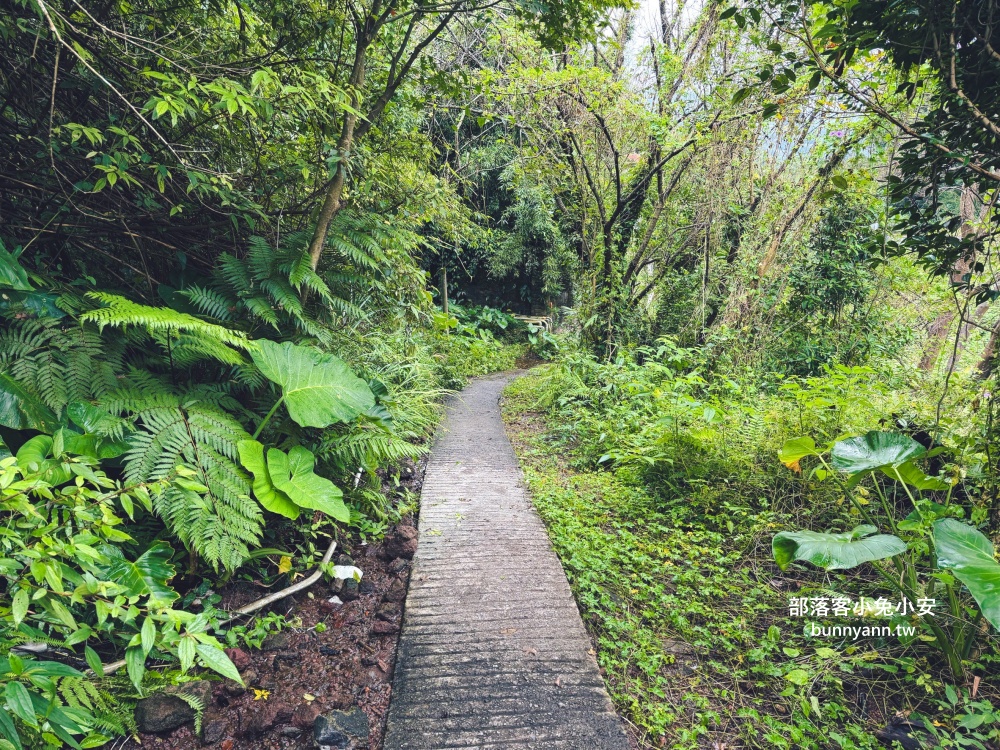 陽明山【草山觀瀑吊橋】從入口處到瀑布來回只要30分鐘輕鬆走