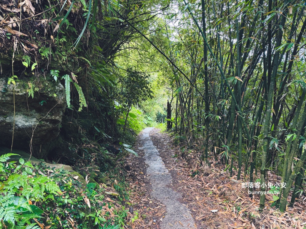 陽明山【草山觀瀑吊橋】從入口處到瀑布來回只要30分鐘輕鬆走