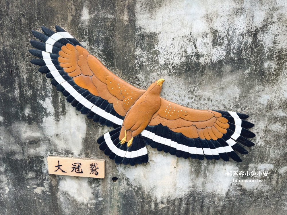 台北市【貴子坑生態園區】從入口處到遠山瞭望台來回只要30分鐘輕鬆走