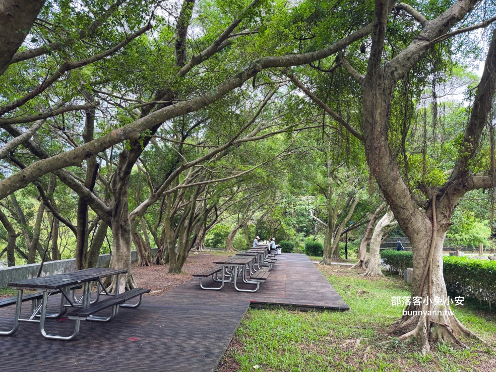 台北市【貴子坑生態園區】從入口處到遠山瞭望台來回只要30分鐘輕鬆走