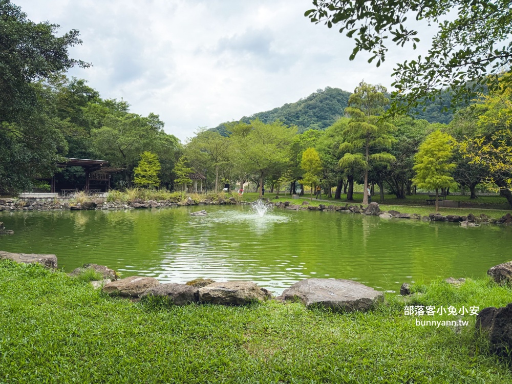 台北市【貴子坑生態園區】從入口處到遠山瞭望台來回只要30分鐘輕鬆走