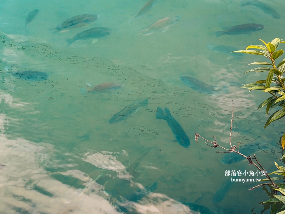 新北萬里區【鏡湖】繞一圈不用15分鐘輕鬆就能賞靜謐的湖景