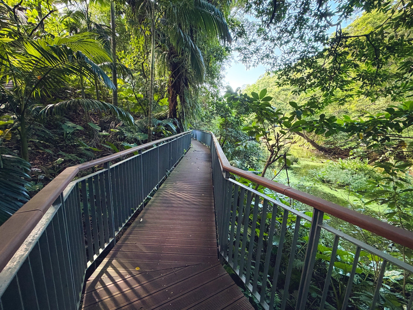 台北木柵公園生態園區，單程繞一圈不用半小時，沿途湖光山色真美