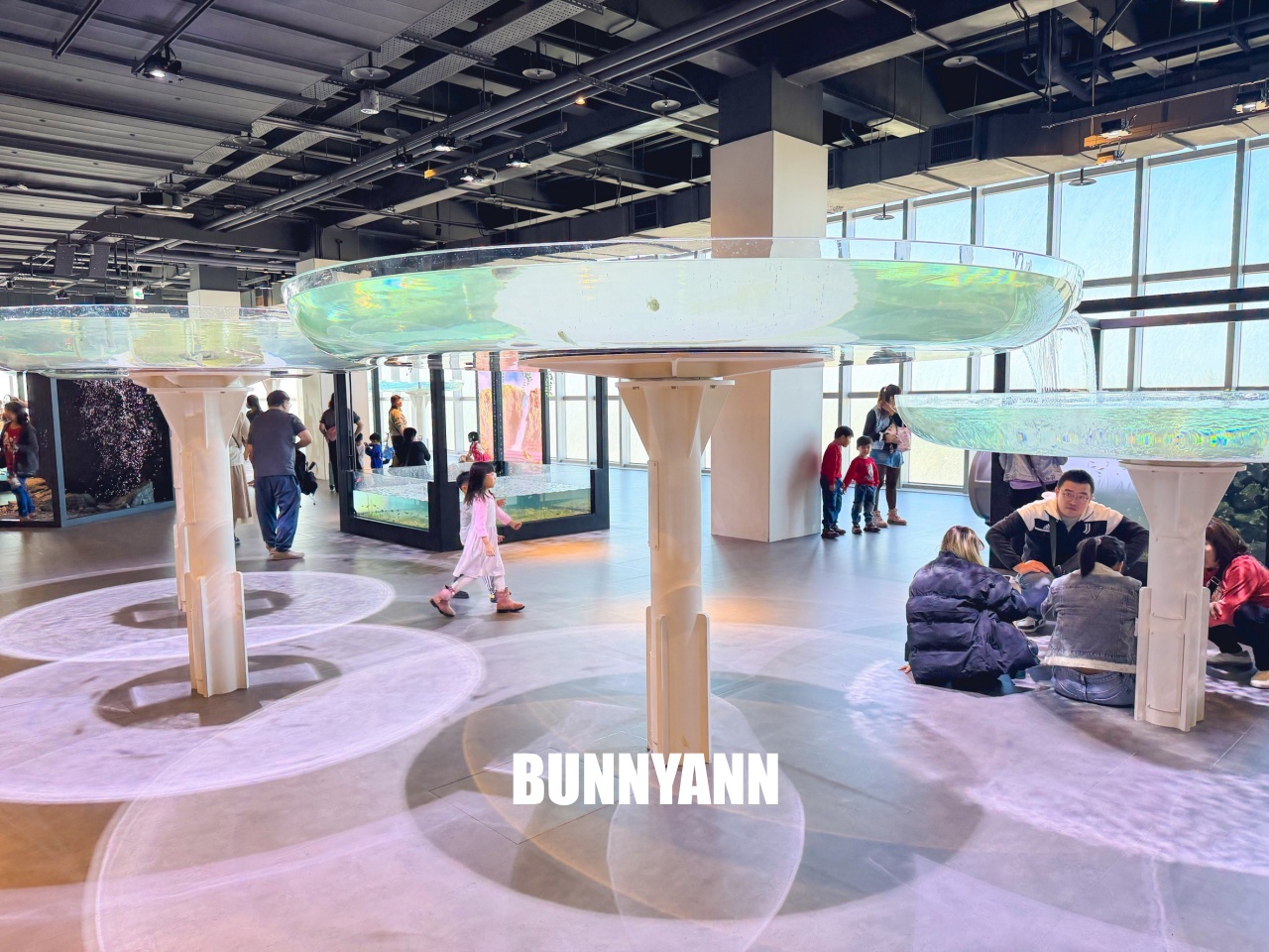 台中梧棲【台中海洋館】漁港旁非常熱門的室內親子水族館