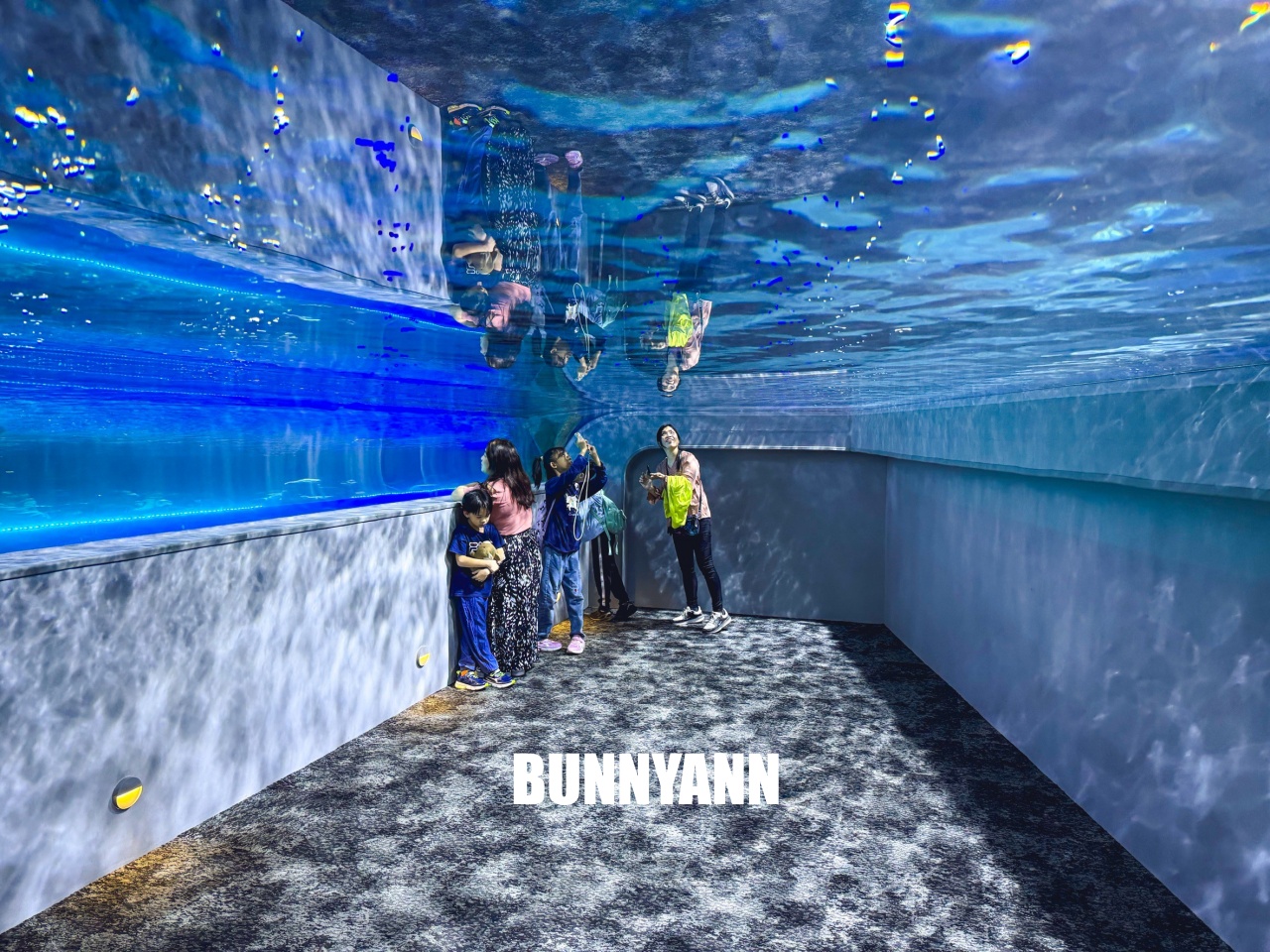 台中梧棲【台中海洋館】漁港旁非常熱門的室內親子水族館