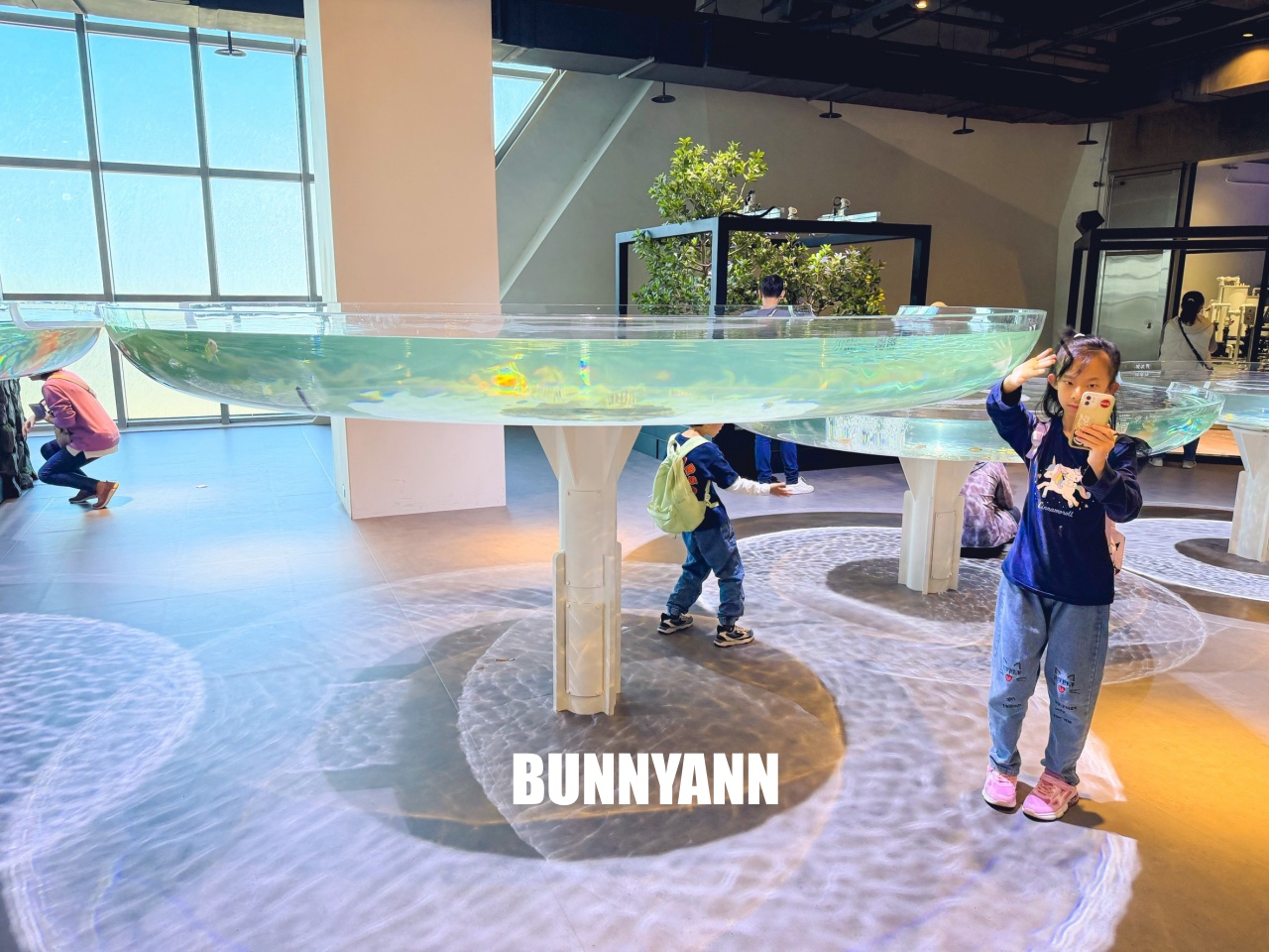 台中梧棲【台中海洋館】漁港旁非常熱門的室內親子水族館