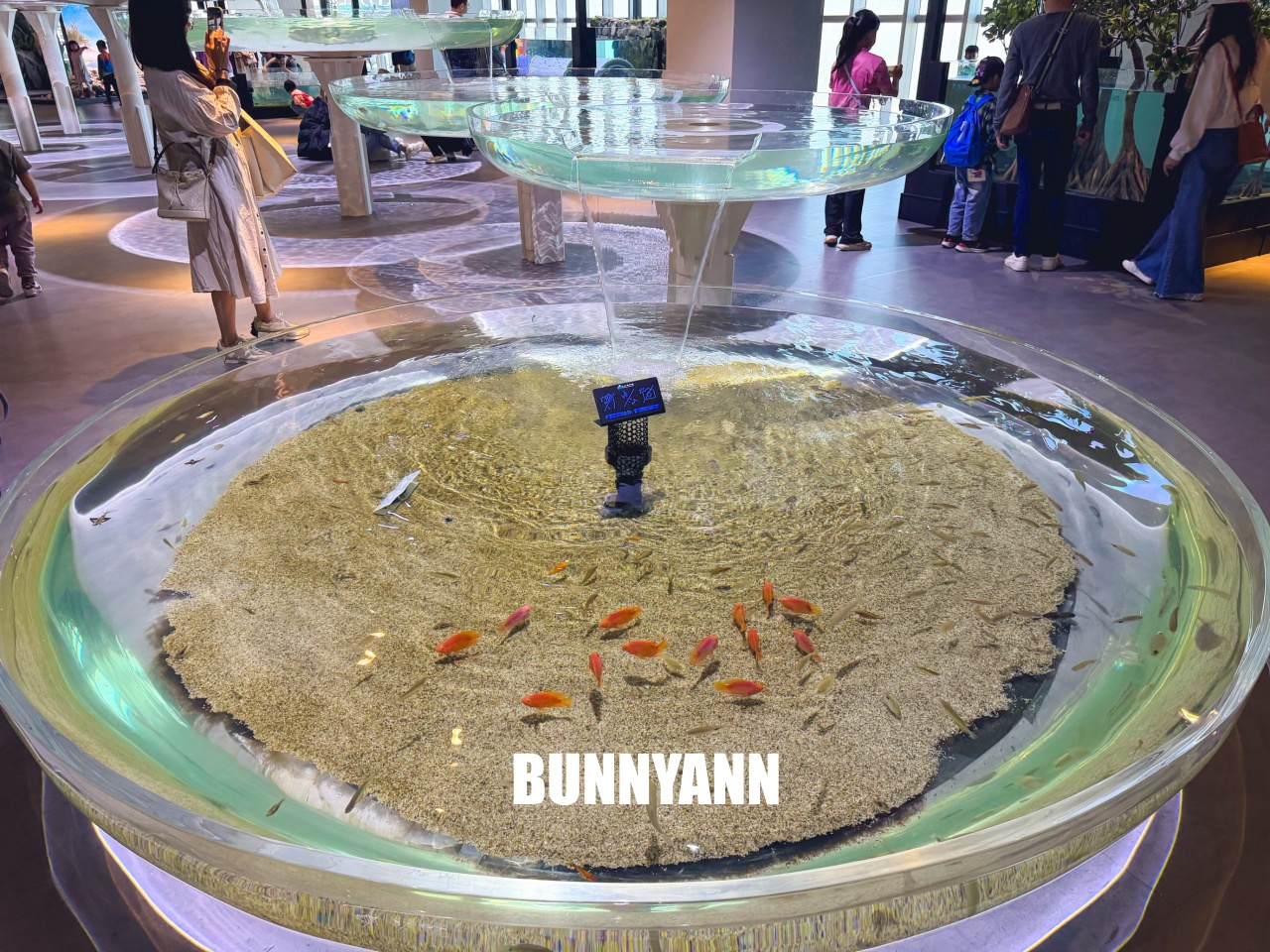 台中梧棲【台中海洋館】漁港旁非常熱門的室內親子水族館
