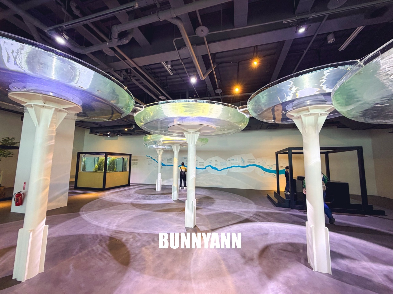 台中梧棲【台中海洋館】漁港旁非常熱門的室內親子水族館