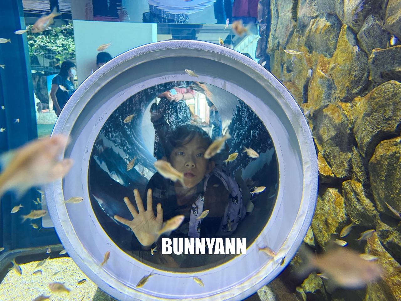 台中梧棲【台中海洋館】漁港旁非常熱門的室內親子水族館