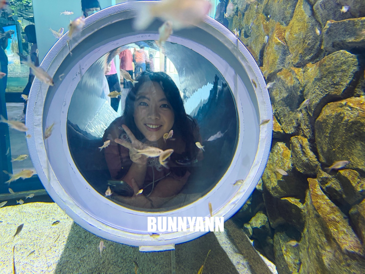 台中梧棲【台中海洋館】漁港旁非常熱門的室內親子水族館
