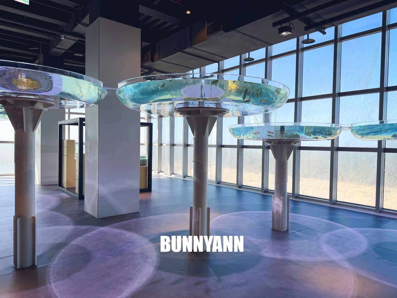 台中梧棲【台中海洋館】漁港旁非常熱門的室內親子水族館