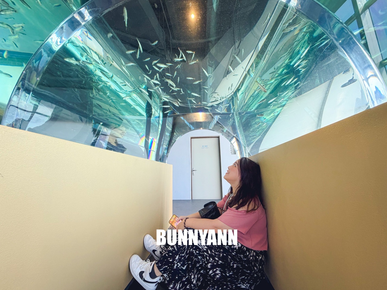 台中梧棲【台中海洋館】漁港旁非常熱門的室內親子水族館