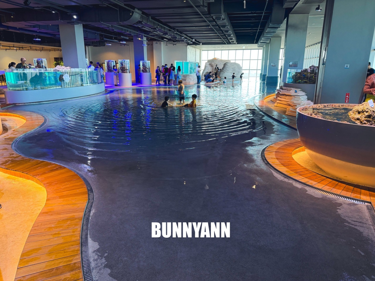 台中梧棲【台中海洋館】漁港旁非常熱門的室內親子水族館