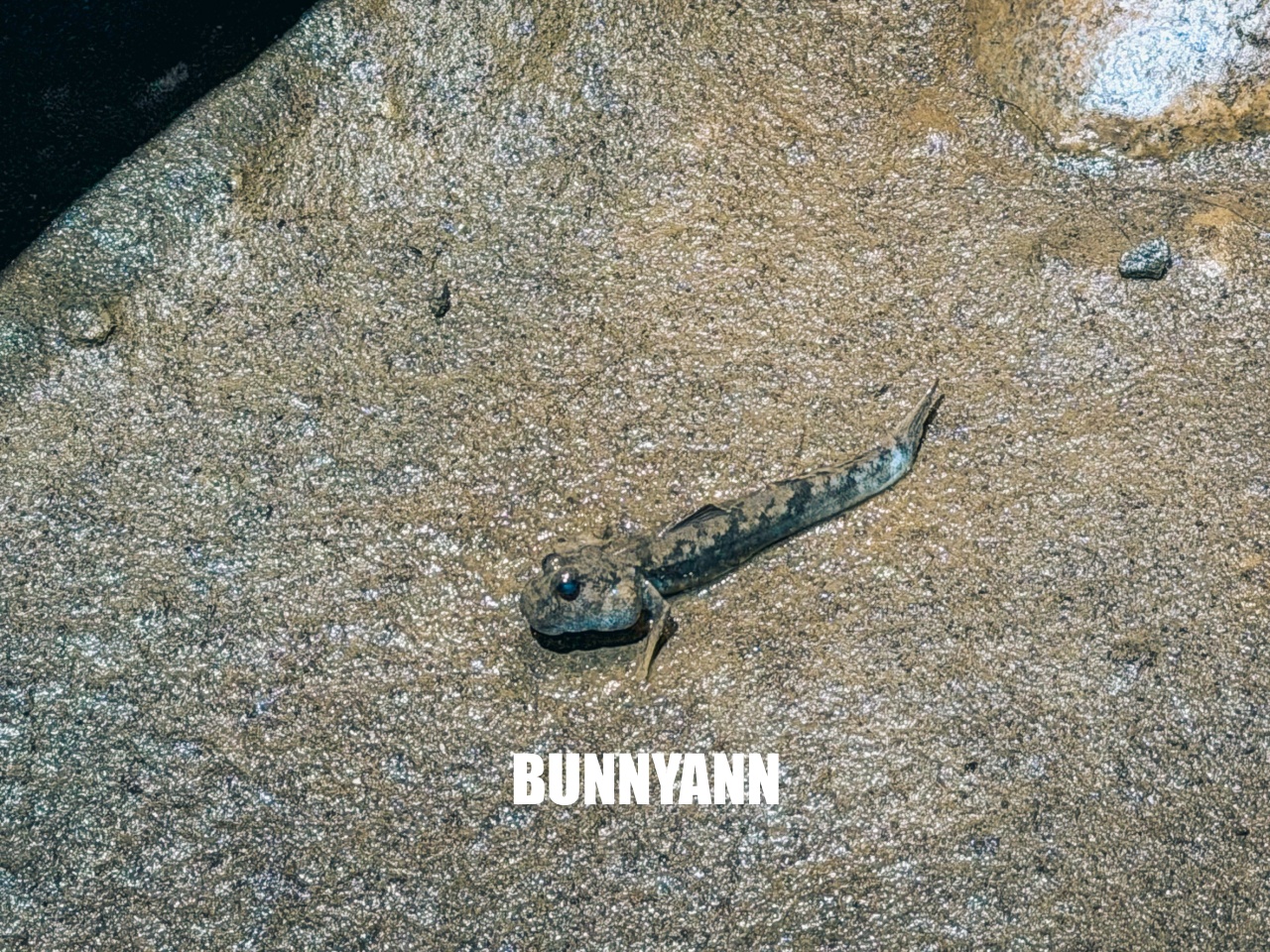 台中梧棲【台中海洋館】漁港旁非常熱門的室內親子水族館