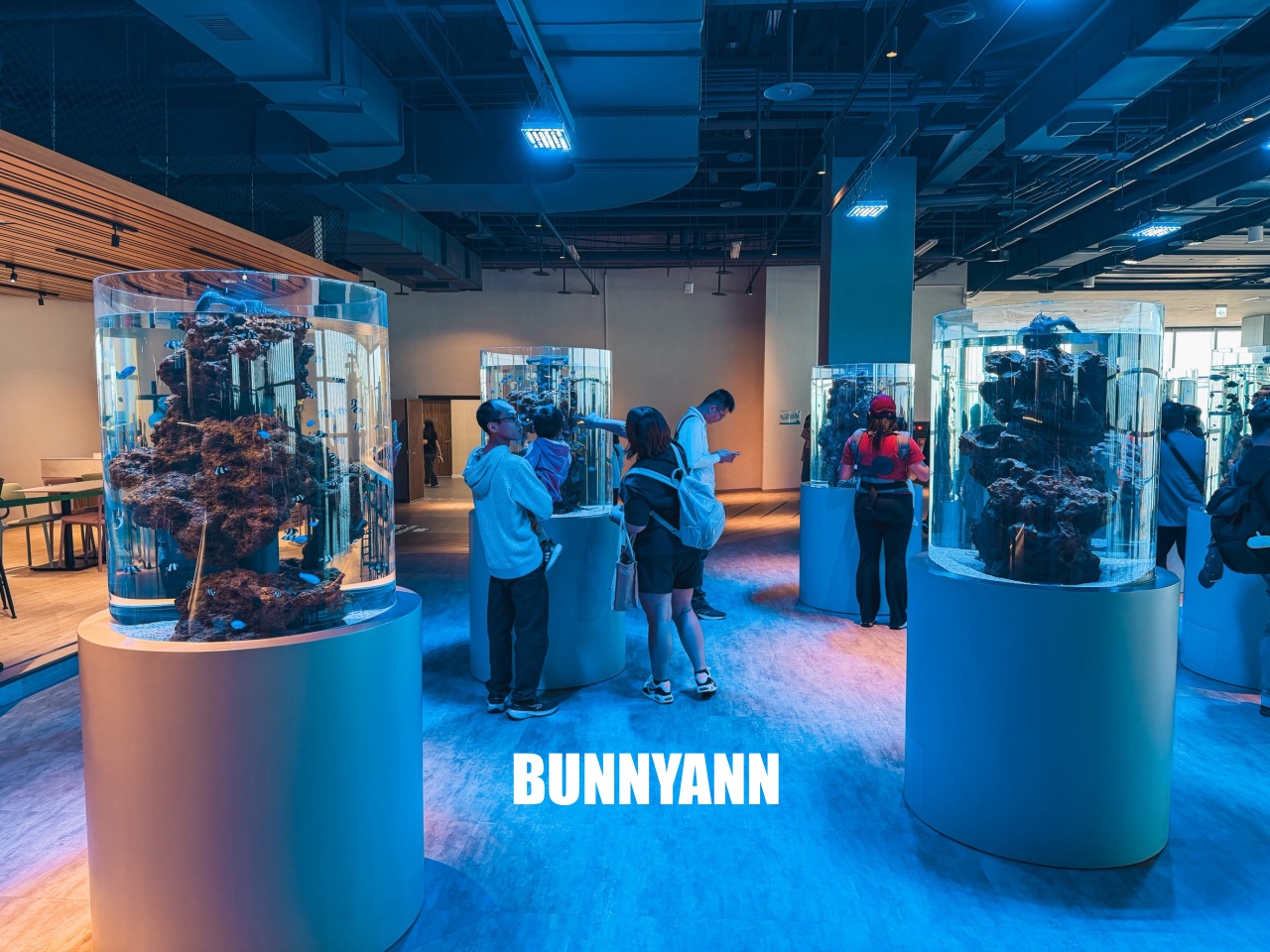 台中梧棲【台中海洋館】漁港旁非常熱門的室內親子水族館