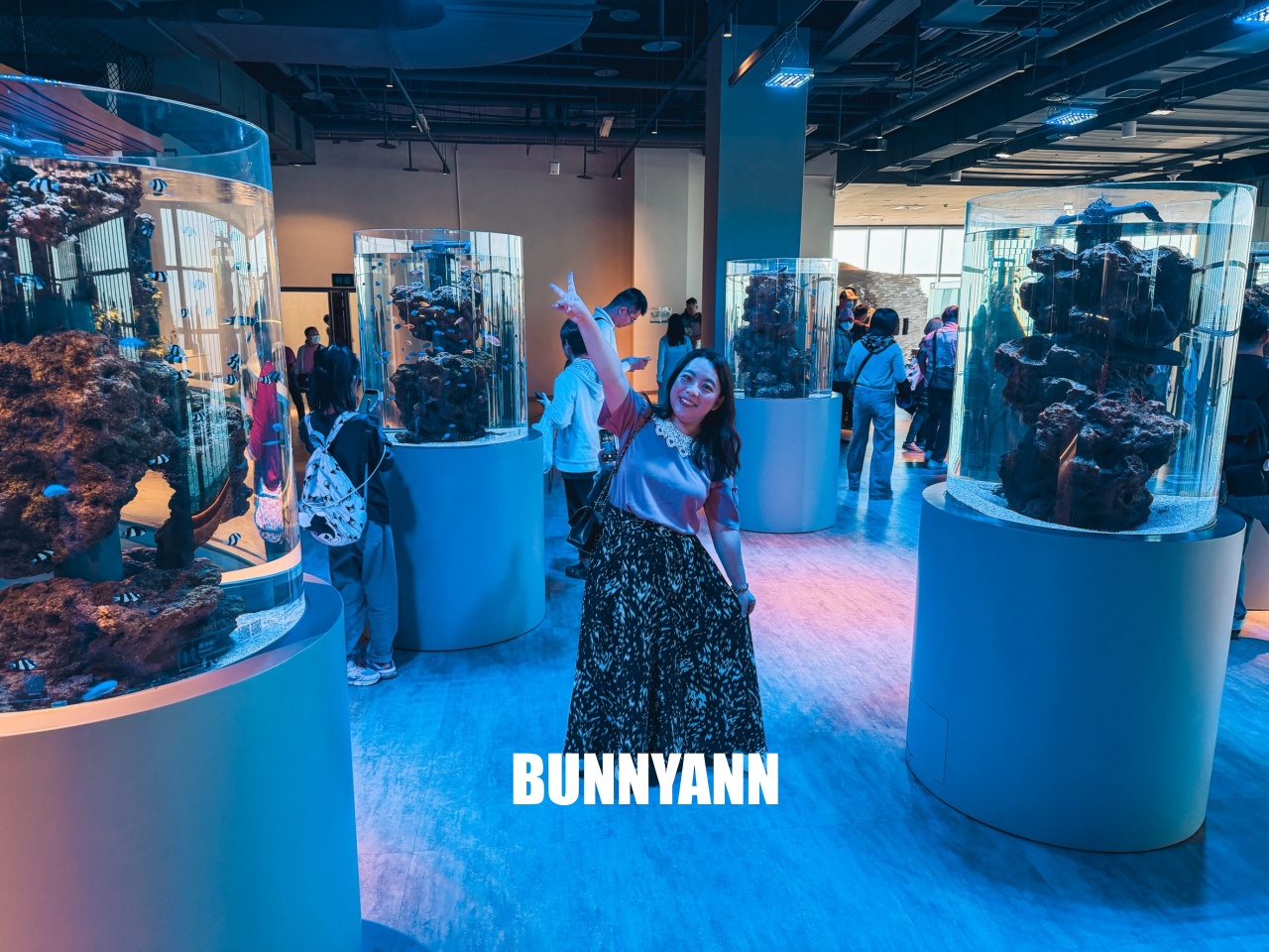 台中梧棲【台中海洋館】漁港旁非常熱門的室內親子水族館