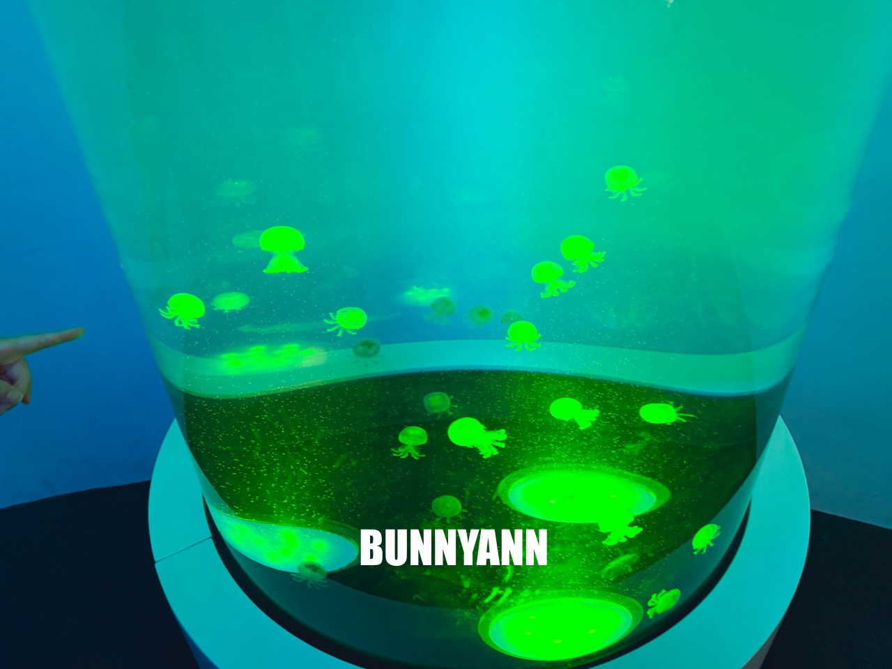 台中梧棲【台中海洋館】漁港旁非常熱門的室內親子水族館