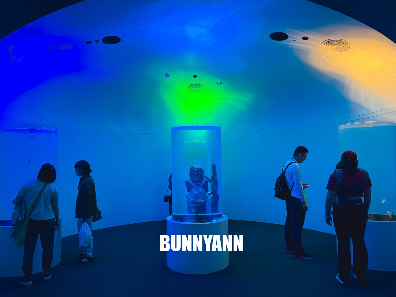 台中梧棲【台中海洋館】漁港旁非常熱門的室內親子水族館