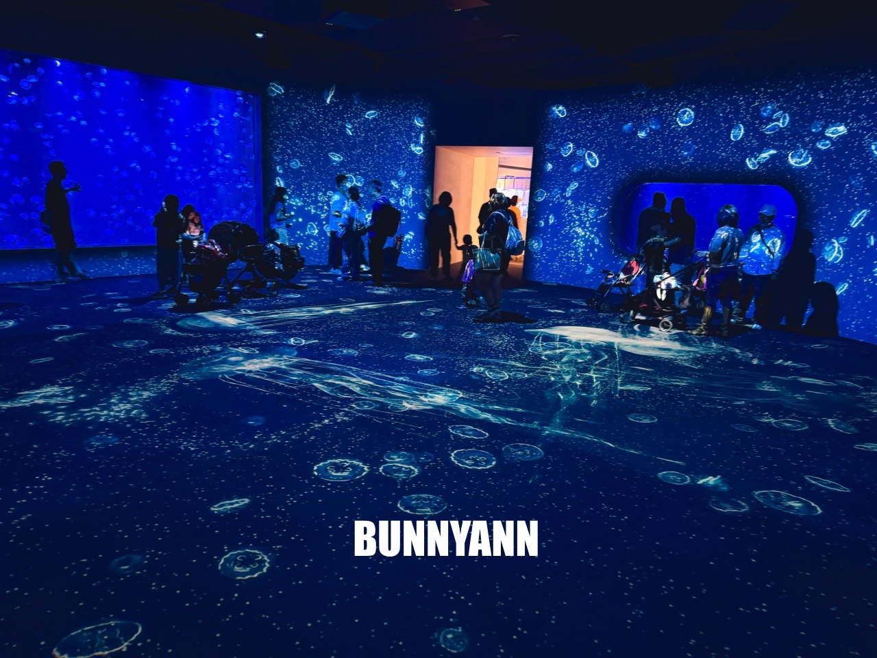 台中梧棲【台中海洋館】漁港旁非常熱門的室內親子水族館