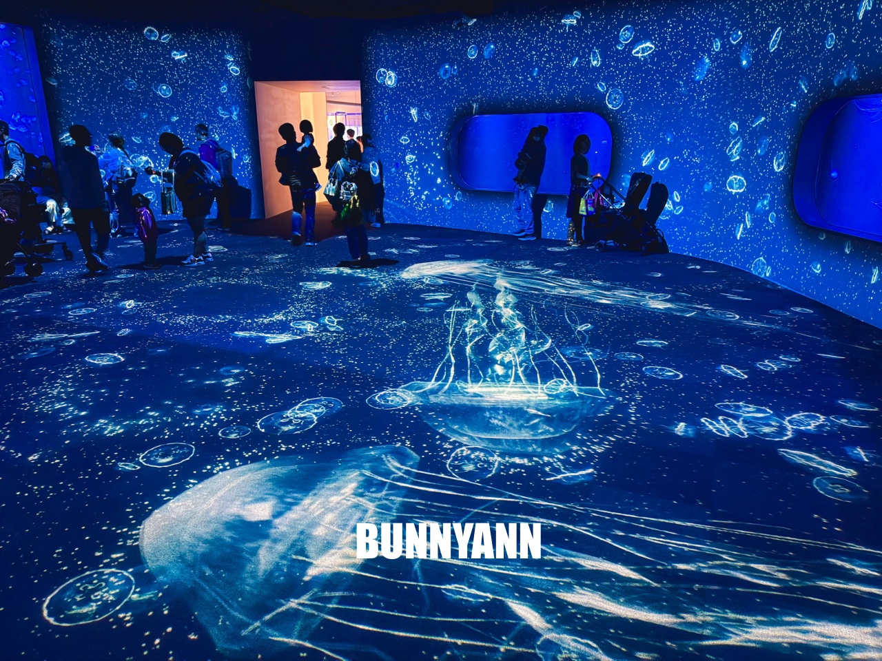 台中梧棲【台中海洋館】漁港旁非常熱門的室內親子水族館