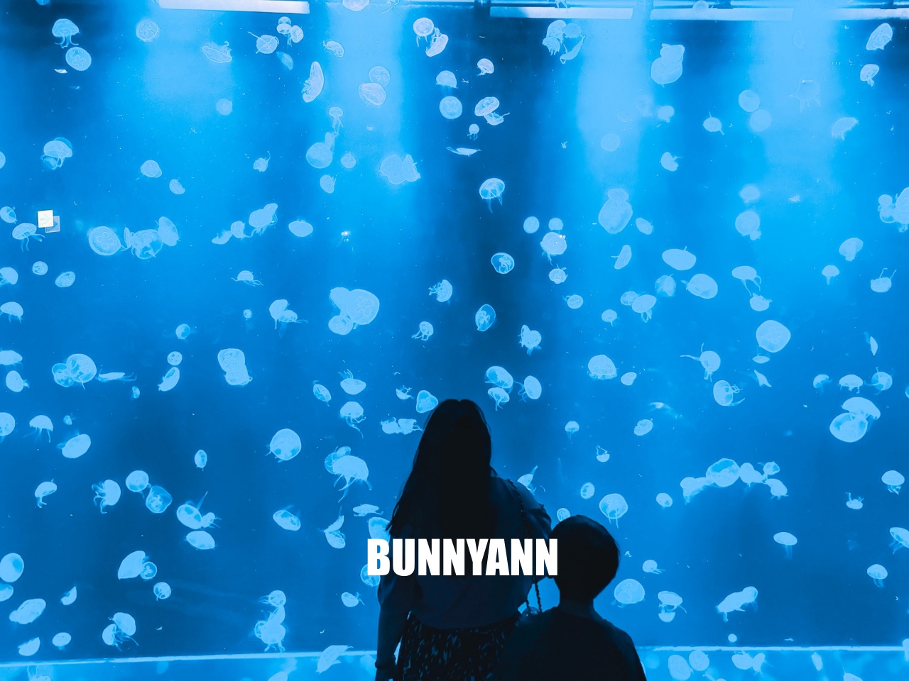 台中梧棲【台中海洋館】漁港旁非常熱門的室內親子水族館